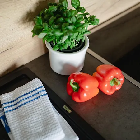 Apartment Lene's Loft Norderney