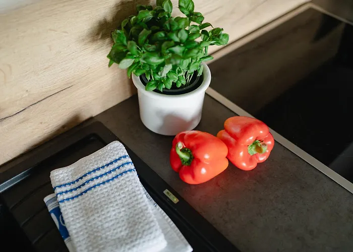 公寓 Lene's Loft 诺德奈